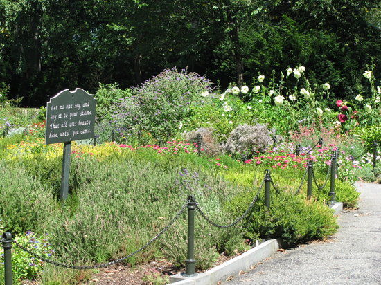 Heather Garden
